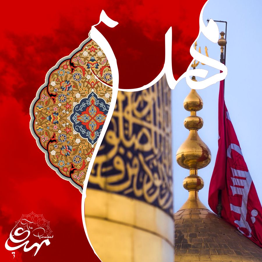Minhaj Welfare Spain